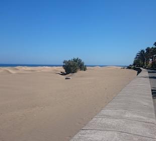 Die schönen Dünen, 5 min vom Hotel entfernt.