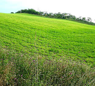 Wanderung Loddiner Höft