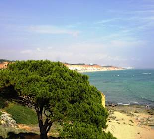Plaża