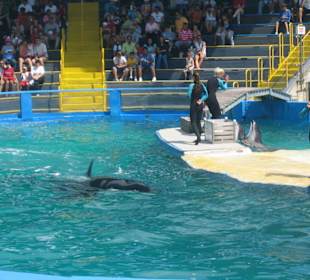 Miami Seaquarium