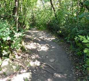 Wanderweg / Trampelpfad zum MMM