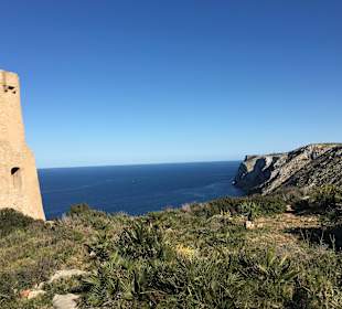 Am Torre