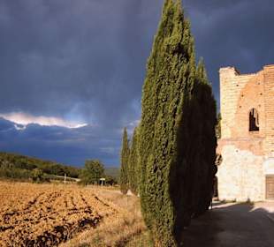 Mystische Stimmung an der Klosterruine San Galgano