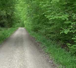 Naturpark Schönbuch