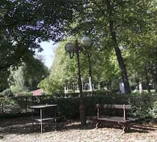 Französischer Garten