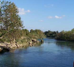 Příroda