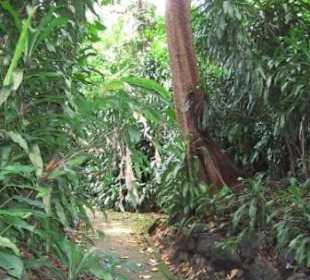 Impressionen aus dem botanischen Garten