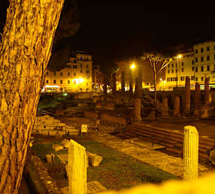 Largo di Torre Argentina