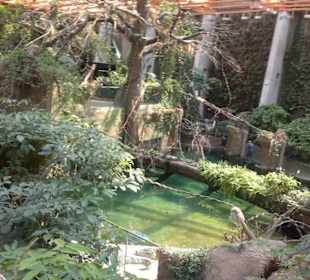 Część Afrykarium zwana Kongo