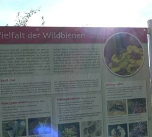 Kaiser- und Keltenrunde Stockach
