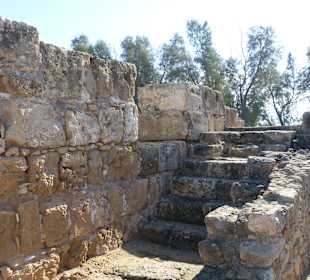 Ausgrabung in Pafos 