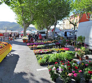 Rundgang über den Wochenmarkt von Port Vendres