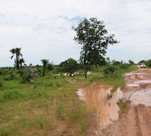 Straßen in der Regenzeit