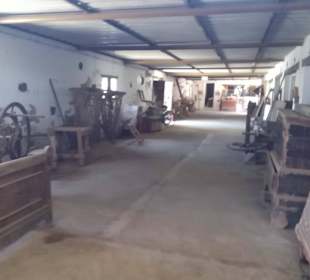 Ziegenfarm Finca Pepe