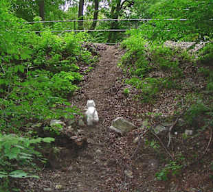 Burggraben hier kann man um die Burg gehen