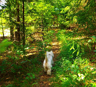Das Affalterthal Sept. 2012