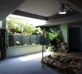 Im Aquarium unterwegs