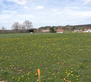 Heckenerlebnispfad Apfelstetten