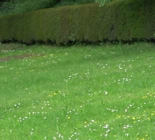 Friedhof Unteriflingen