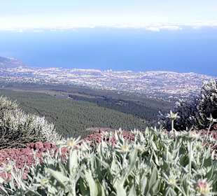 Teide Nationalpark