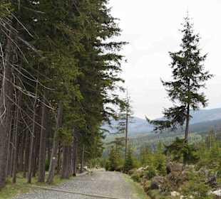Berg Schneekoppe/Śnieżka