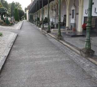 Haupt- und Waldfriedhof