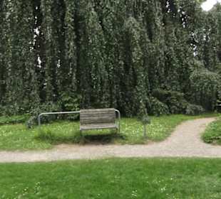 Alter Botanischer Garten