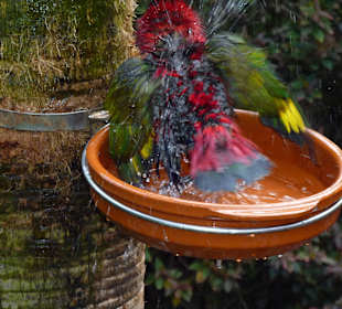 Badeengel in der Freiflughalle