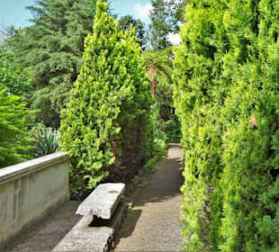 Impressionen vom Weg durch den Monte Palace Garden