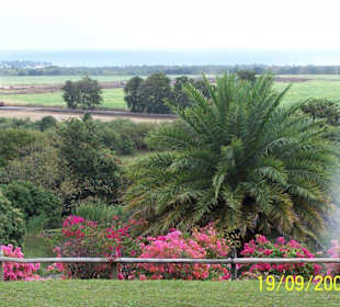 Casela Bird Park