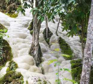 Bua Thong/Sticky Waterfall