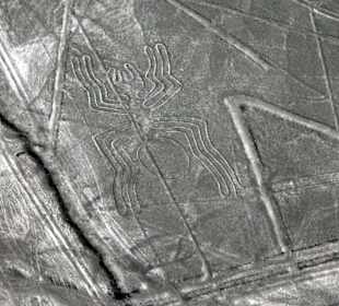 Spinne - Nazca Linien