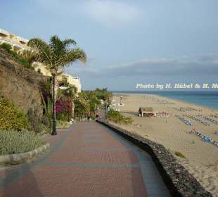 Promenade / Strand