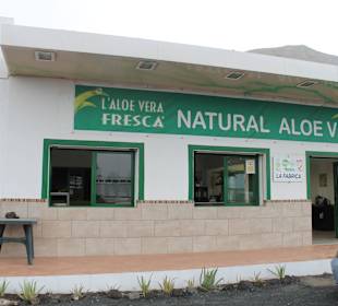 Aloe Vera Infocenter Lanzarote - Yaiza