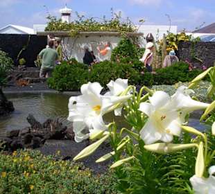 Fundacion Cesar Manrique