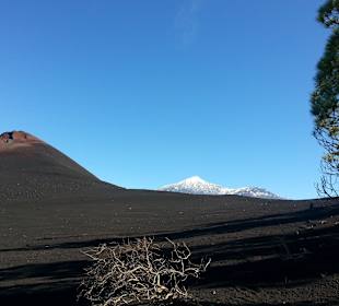 Auf "heißen" Sohlen 2013