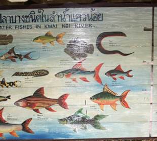 Tafel der Fische im River Kwai