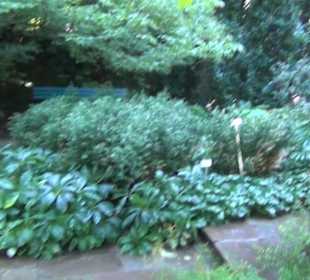 Berggarten