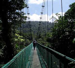 Wiszące mosty w Parku
