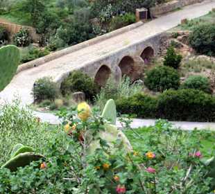 Wunderschöne Aussicht