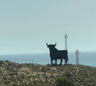 Stadtrundgang Alicante