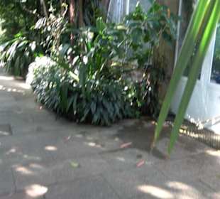 Gewächshäuser Botanischer Garten