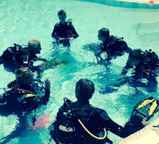 Erster Tauchgang im Pool