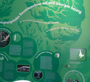 Dynamikum Sience Center