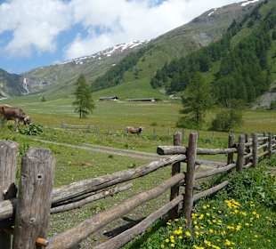 Wanderung zur Schliningeralm