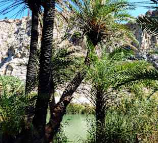 Palmenstrand von Preveli