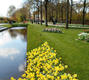 Blumenpracht im Keukenhof