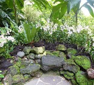 Im Garten der Orchideen