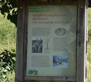 Eduard Lucas Musterobstgarten Mähringen