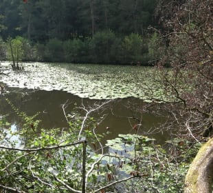 Schaichtalweg - Schlüsselsee